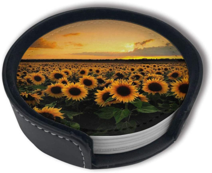 Sunflower Drink Coasters Protect Furniture from Water Marks Scratch and Damage,Suitable for All Kinds of Cups,Set of 6