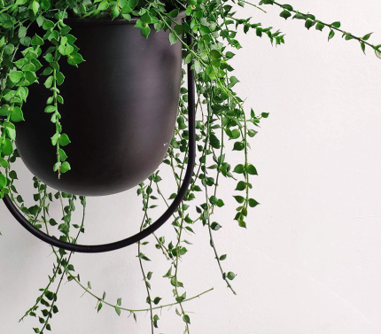 Enjoy fast, free nationwide shipping!  Owned by a husband and wife team of high-school music teachers, HawkinsWoodshop.com is your one stop shop for quality USA handmade industrial, modern, mid-century, and rustic furniture as well as imported furniture.  Get our Plant Hanger Black Metal Wall & Ceiling Hanging Planter on sale now!