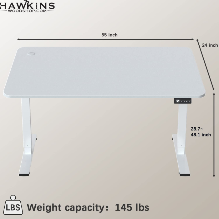 Furmax 55 x 24 Home Office Electric Height Adjustable Standing Desk 